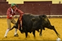 As imagens da corrida do Campo Pequeno - Corrida TV